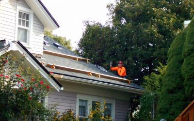 Should You Get Roof Repair or Replacement?